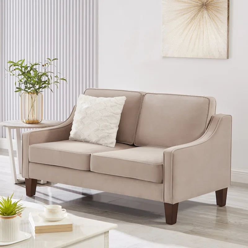 Modern Loveseat Sofa For Living Room